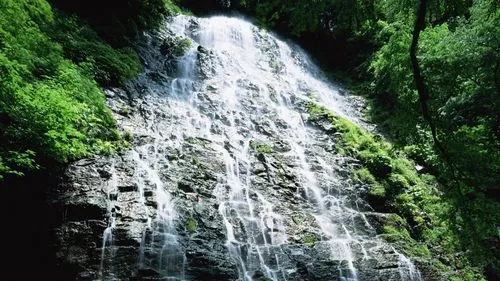 数字化精密